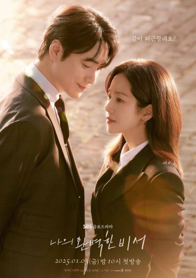 Мой идеальный секретарь