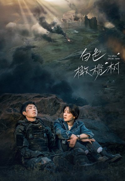 Белое оливковое дерево